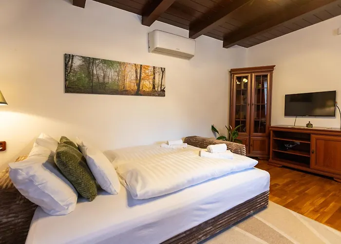 Bakonyi Muzsa Vendeghaz Villa *